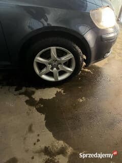 Sprzedam pluszaka